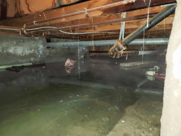 Best Water damage restoration near me  in Kellyville, OK