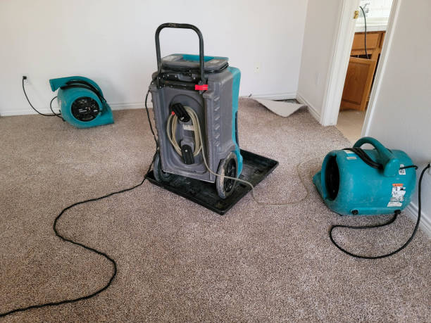 Best Mold removal after water damage  in Kellyville, OK