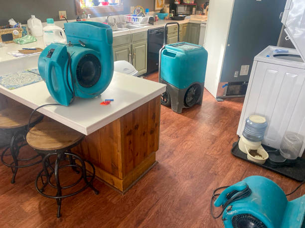 Best Basement water damage restoration  in Kellyville, OK