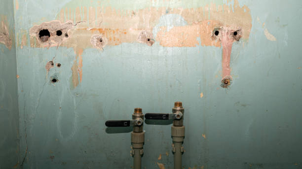 Best Ceiling water damage repair  in Kellyville, OK