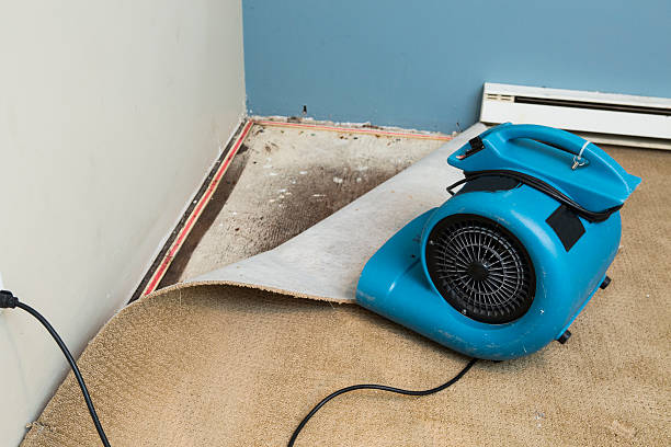 Best Professional water damage repair  in Kellyville, OK